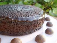   BIZCOCHO CHOCO EXPRÈS