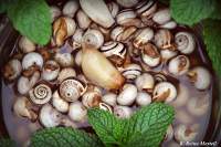   Caracoles a la Andaluza y otras curiosidades