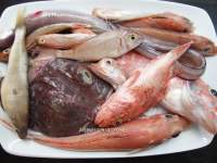   Fumet o caldo de pescado de Ferran Adrià