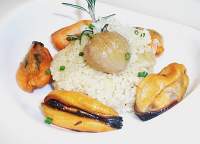   Mejillón-Nori, Cuscus con manzana, castaña y Virutas de  San simón