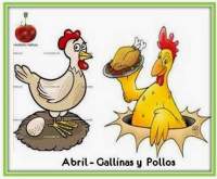   Abril 2014: Pollo y  Gallina